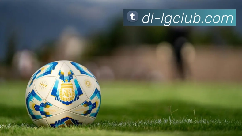 老哥俱乐部官网服务体系